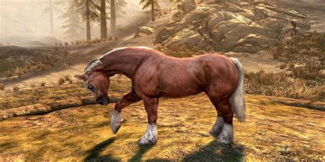 skyrim wild horse